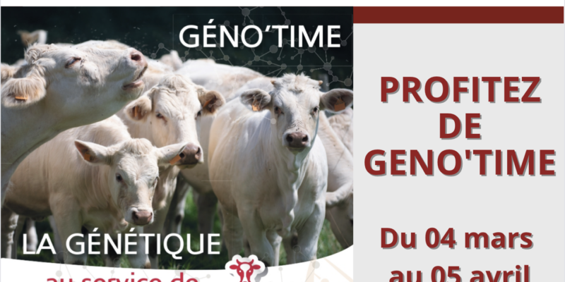 Lire la suite à propos de l’article J-3 AVANT LE DÉBUT DE LA NOUVELLE PÉRIODE GÉNO’TIME !