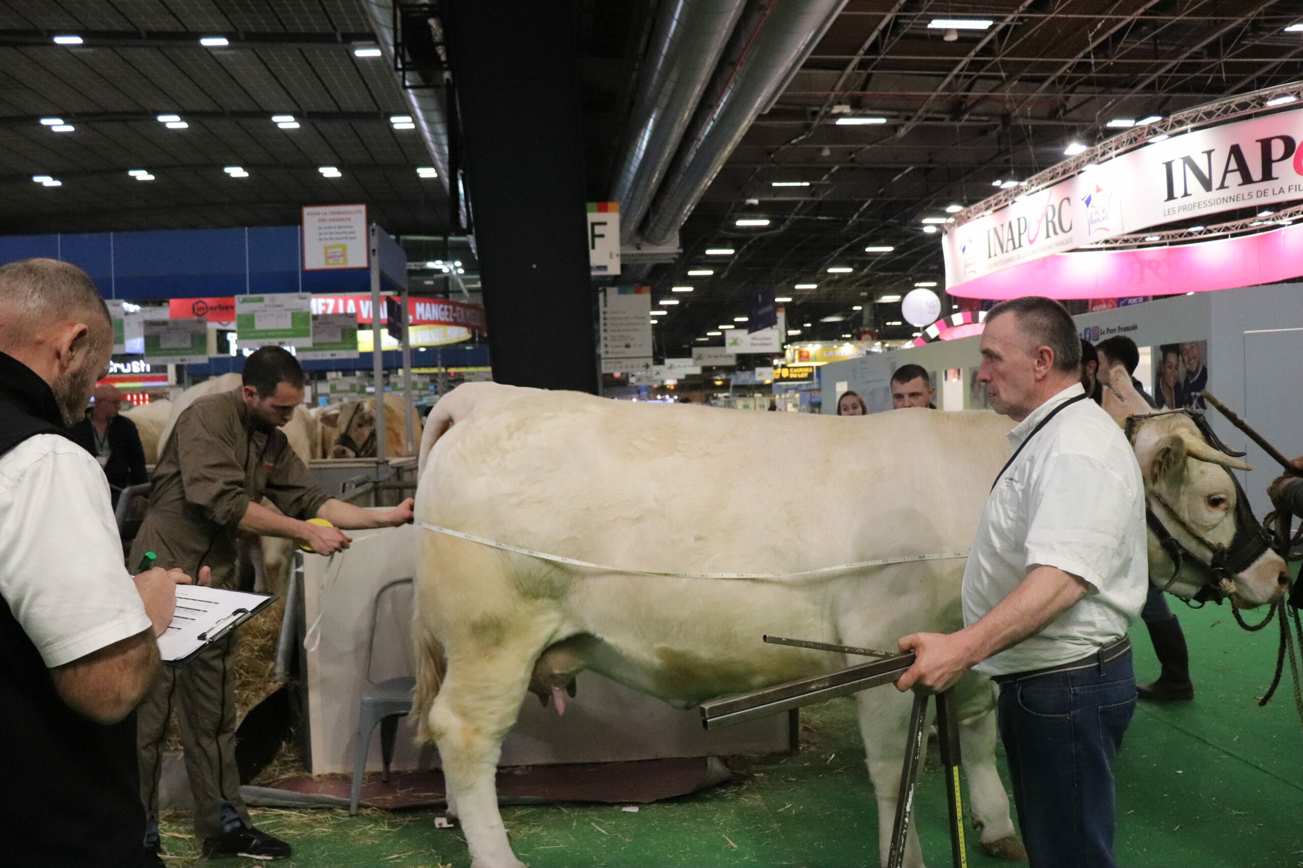 Lire la suite à propos de l’article LES MENSURATIONS DES ANIMAUX CHAROLAIS