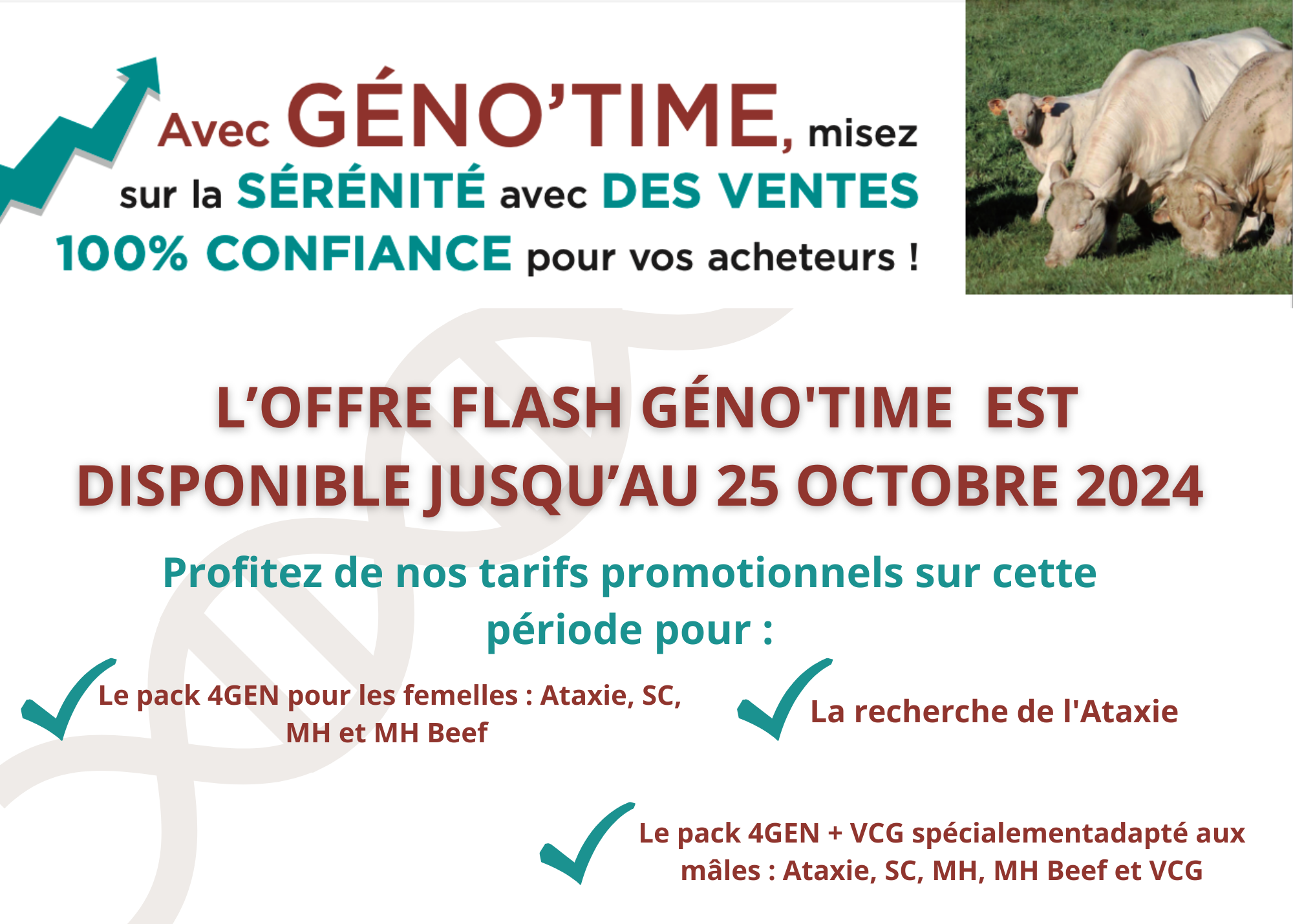Copie de Geno'time pour visuel revue (210 × 150 mm)