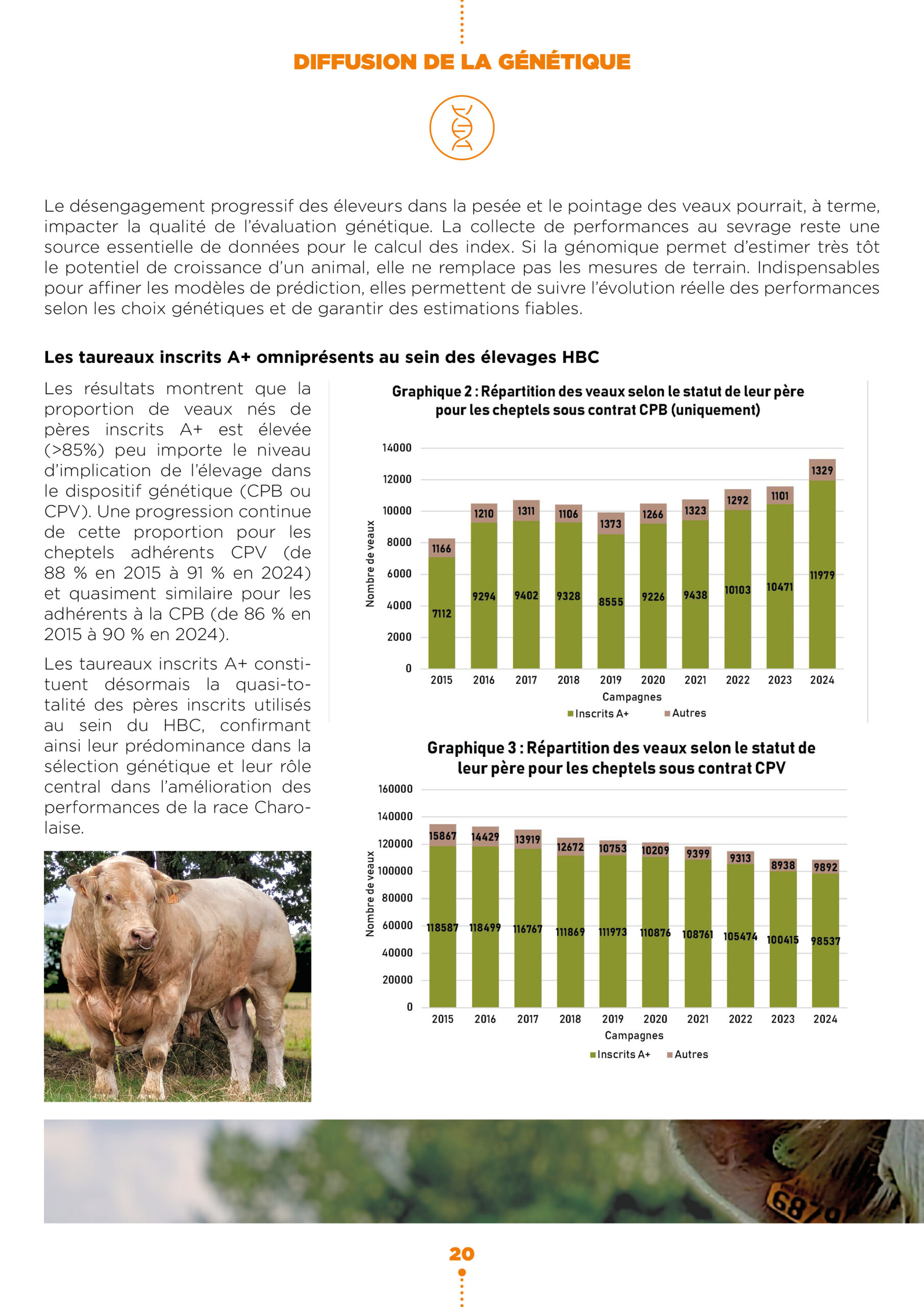 Diffusion de la génétique inscrite en race charolaise3