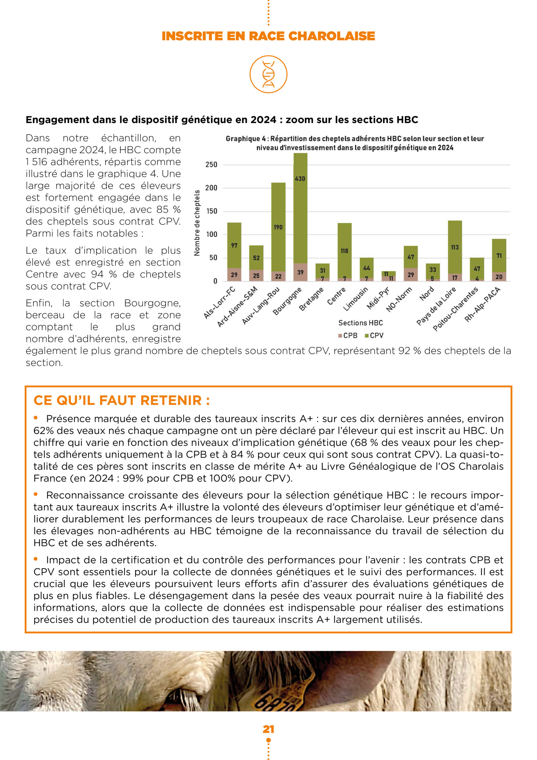Diffusion de la génétique inscrite en race charolaise4
