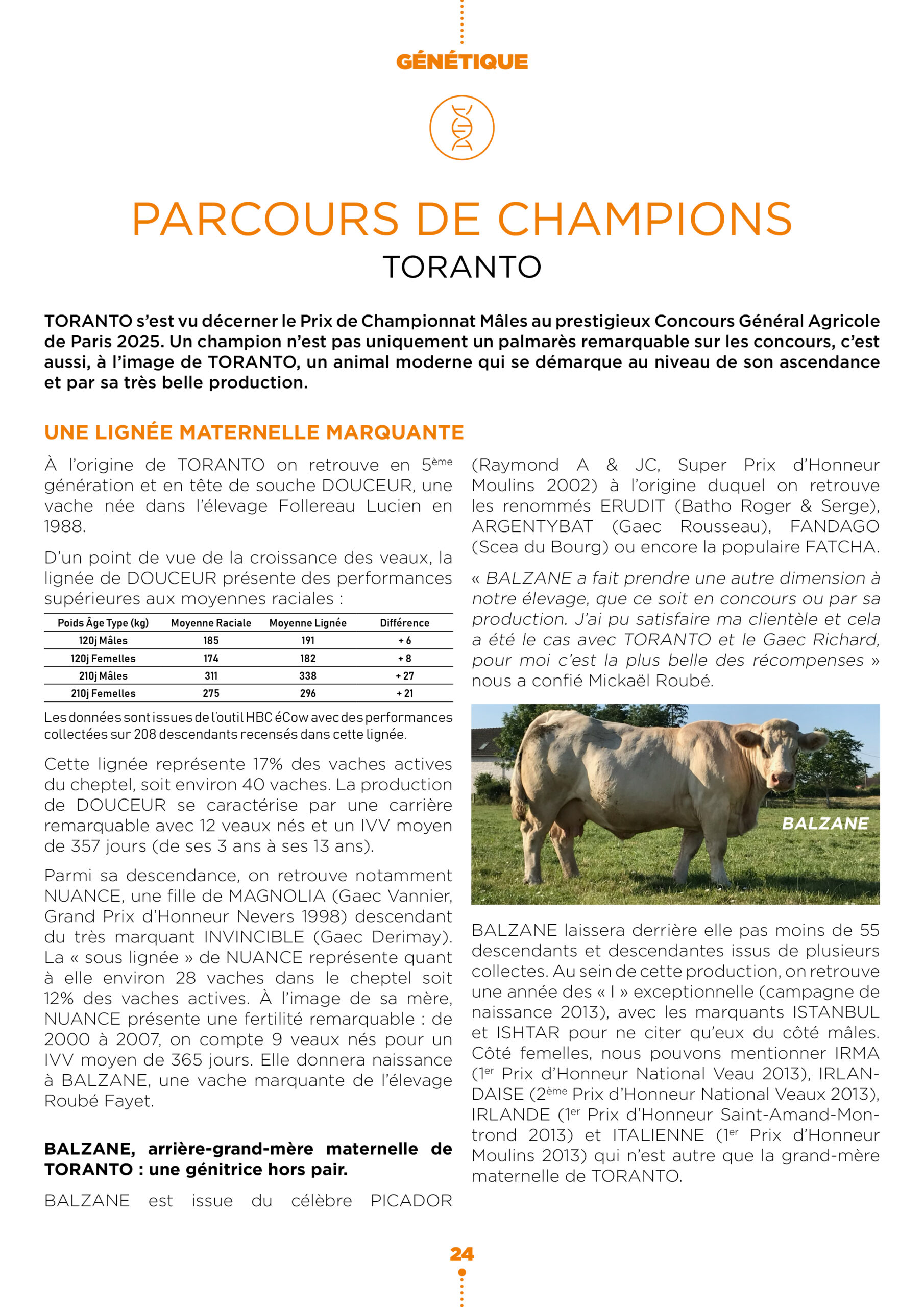 Parcours de Champions