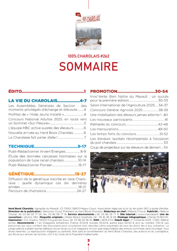 Revue 262 – Image 2