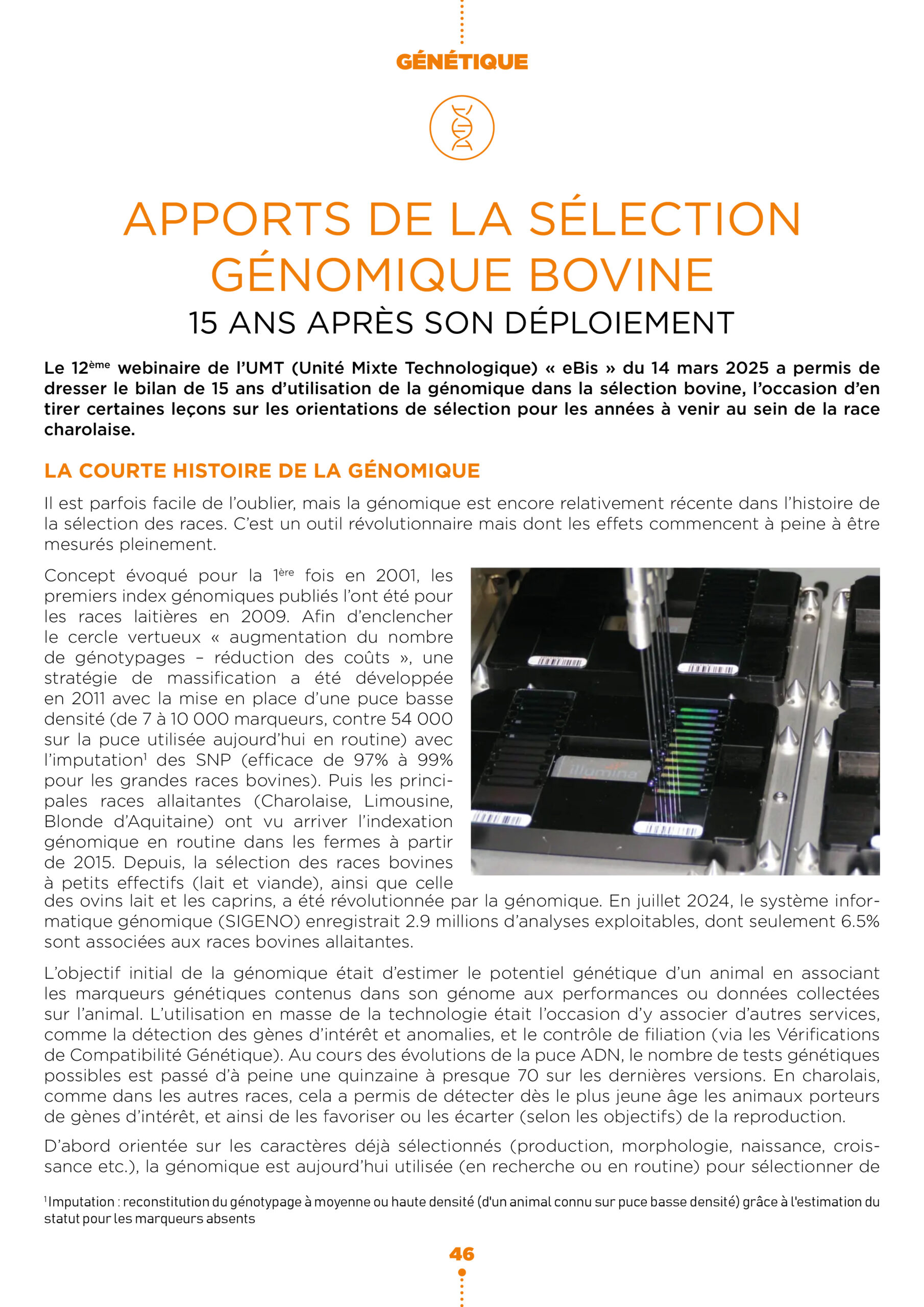 Apports de la sélection génomique bovine