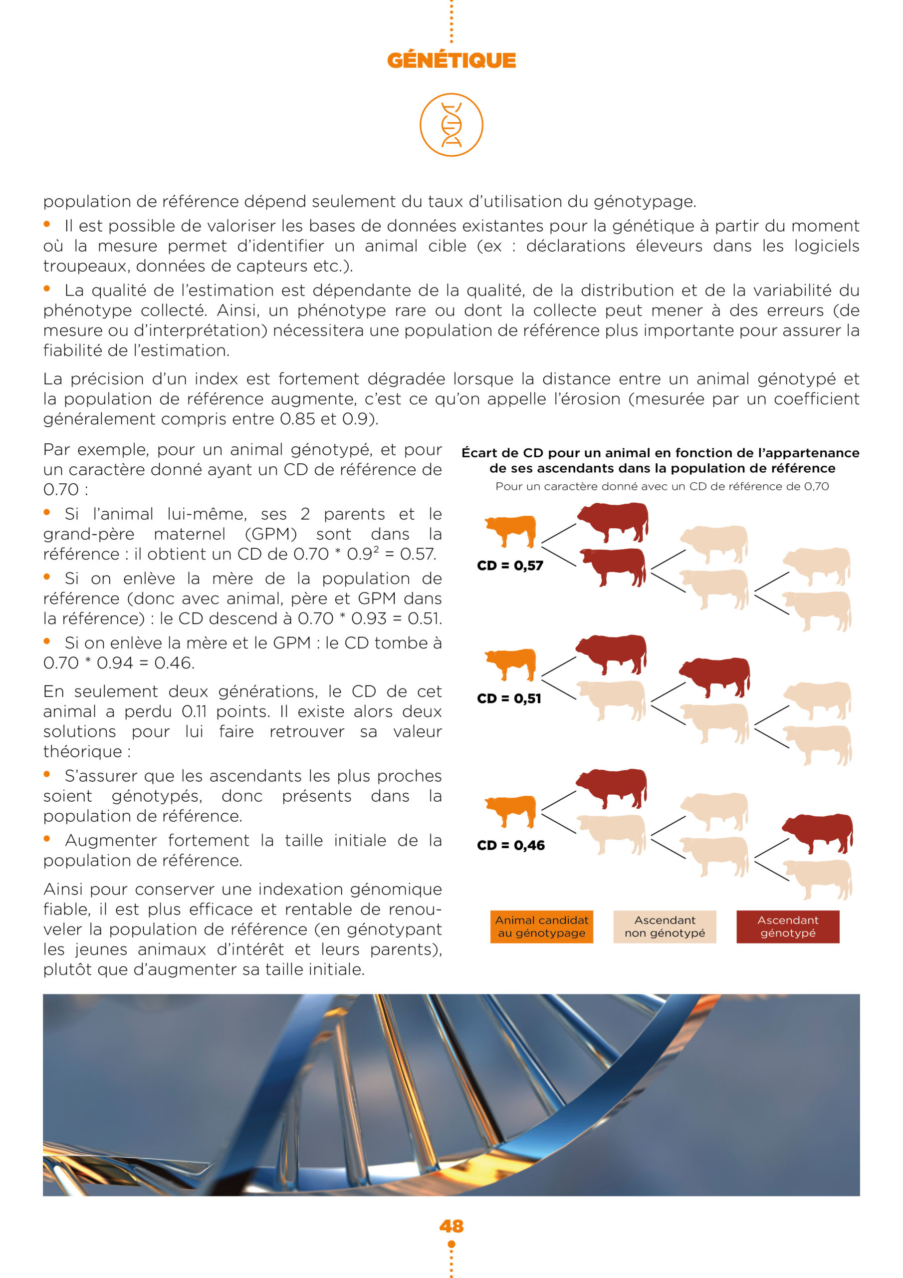 Apports de la sélection génomique bovine3