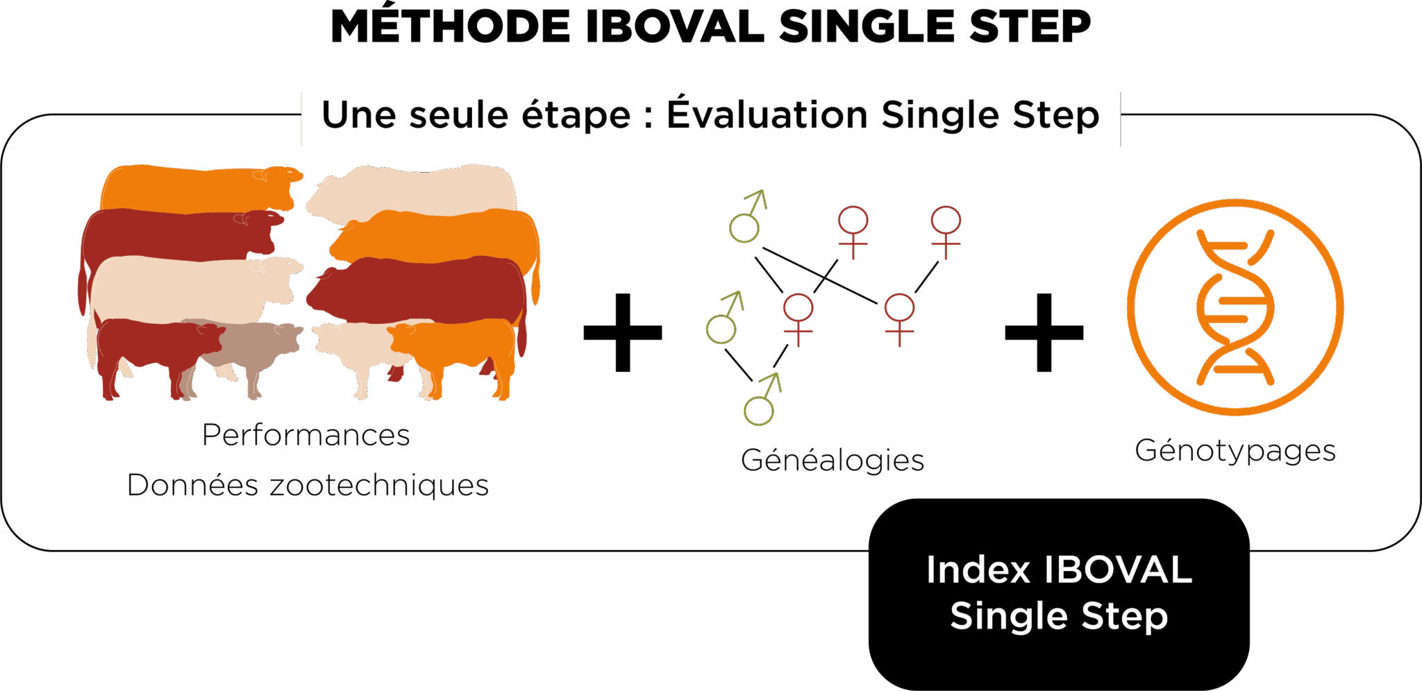 Single Step