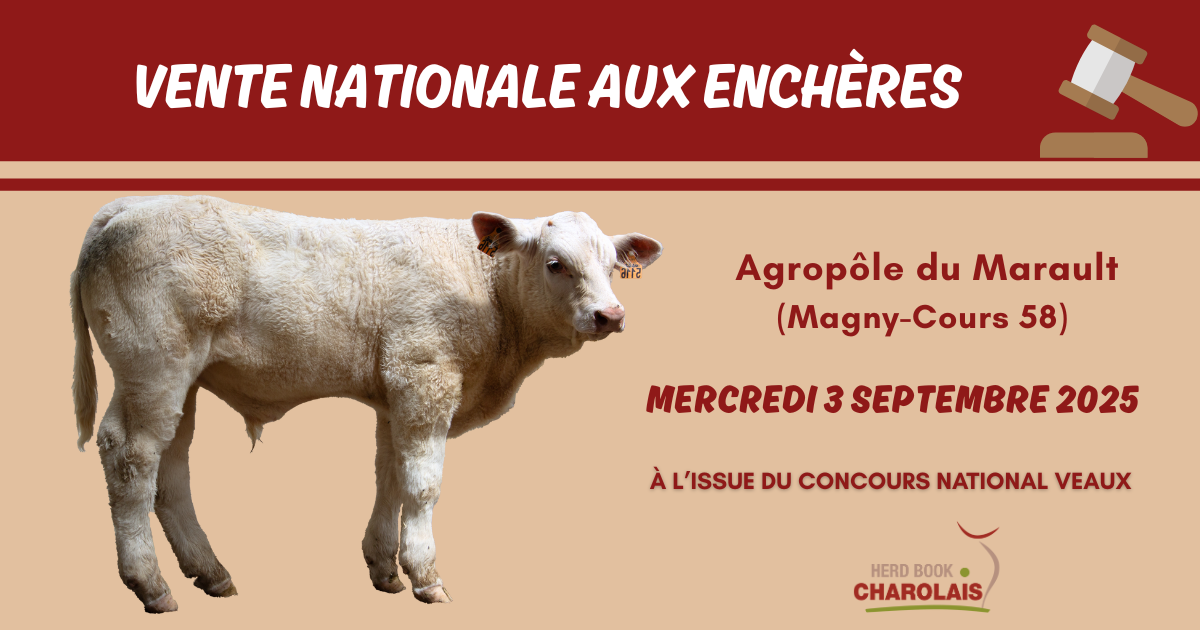 LA VENTE NATIONALE AUX ENCHÈRES