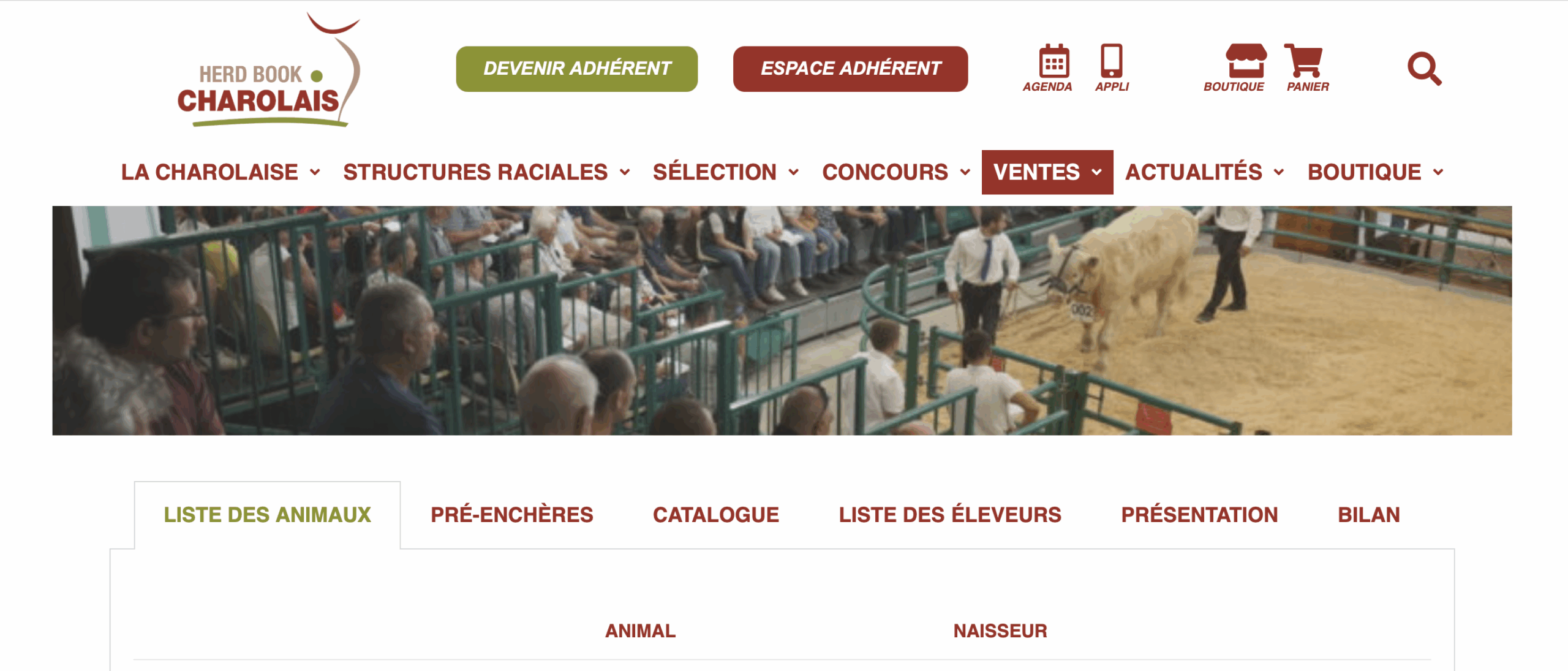 Lire la suite à propos de l’article VENTE NATIONALE 2025 – LES PHOTOS ET VIDÉOS DES ANIMAUX SONT DÉSORMAIS EN LIGNE !