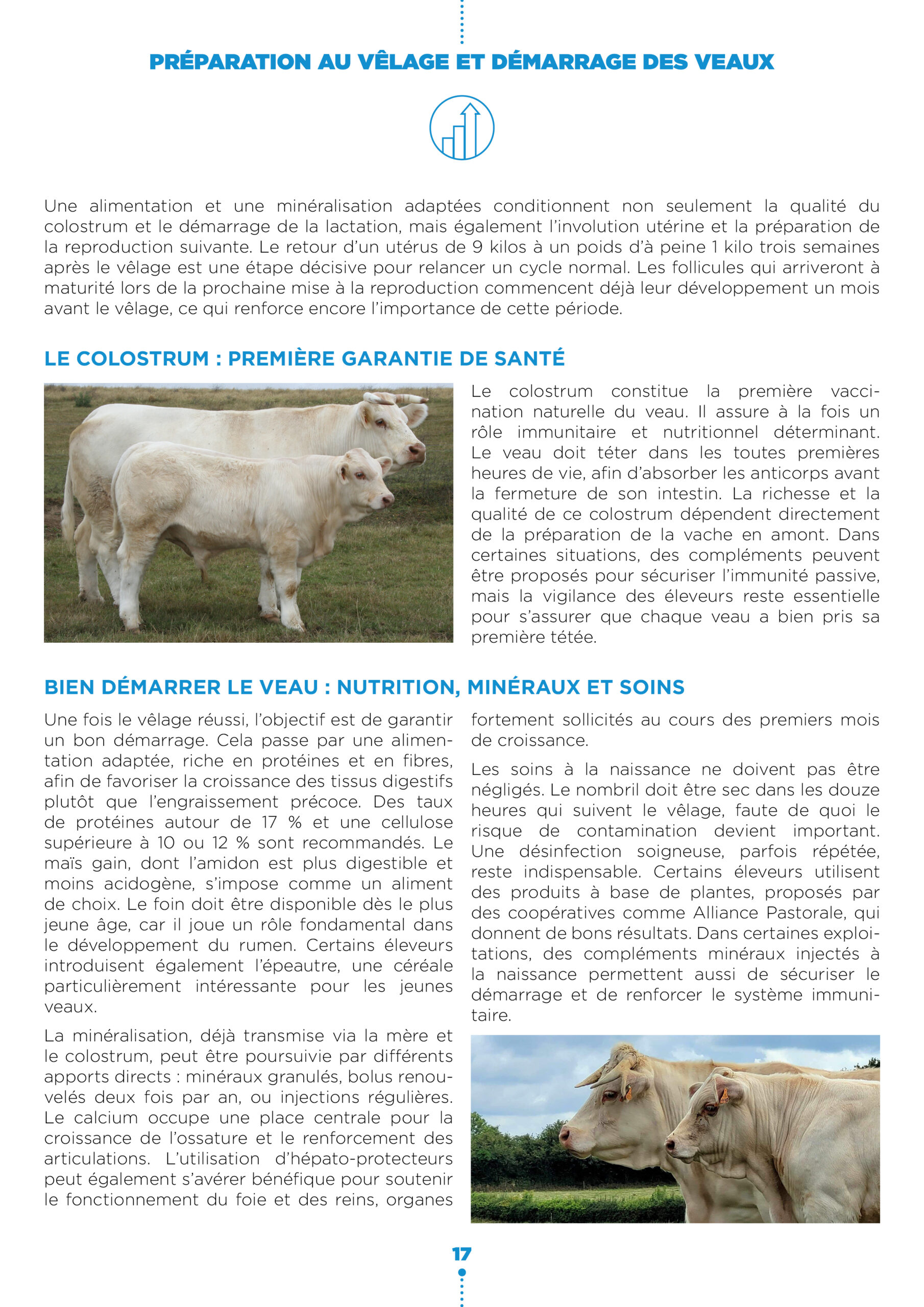 Demarrage des veaux2