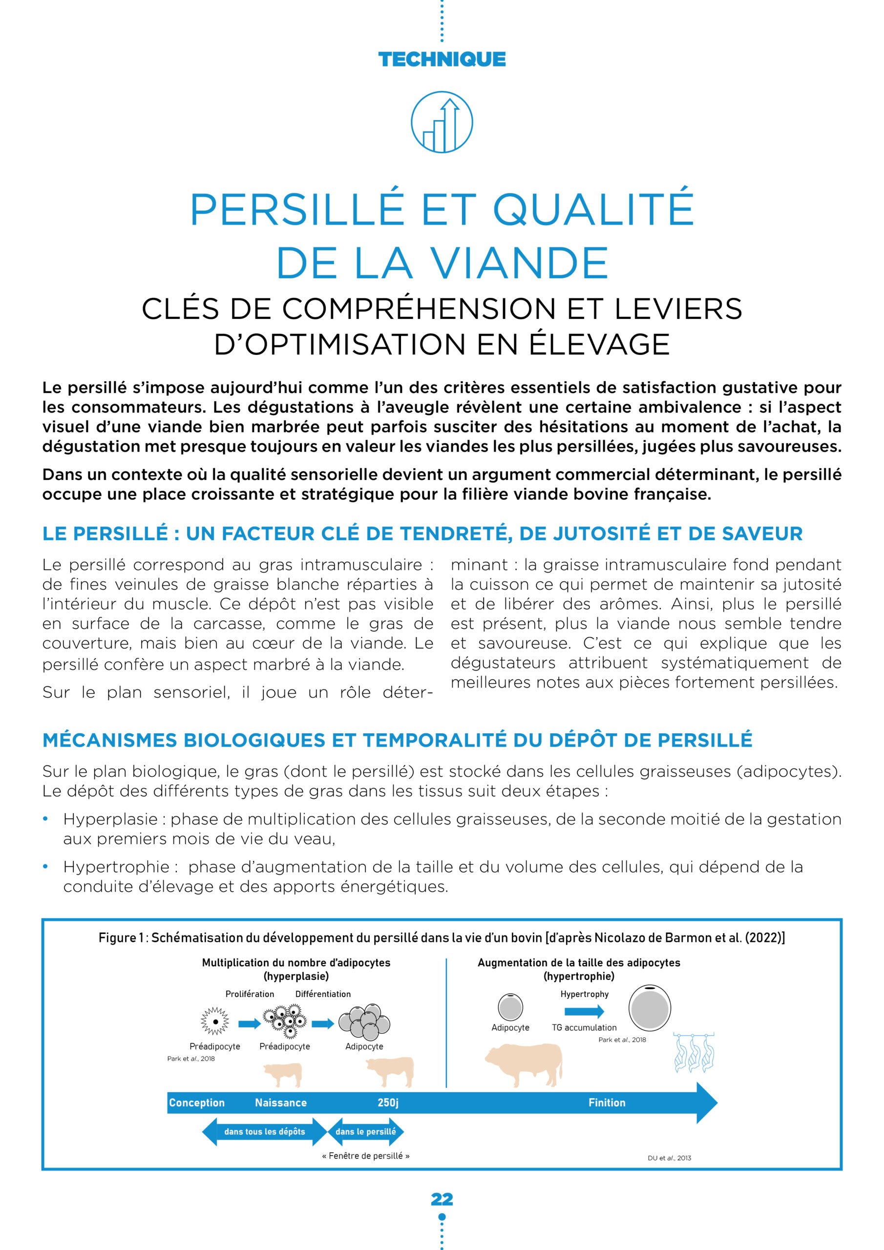 Persille