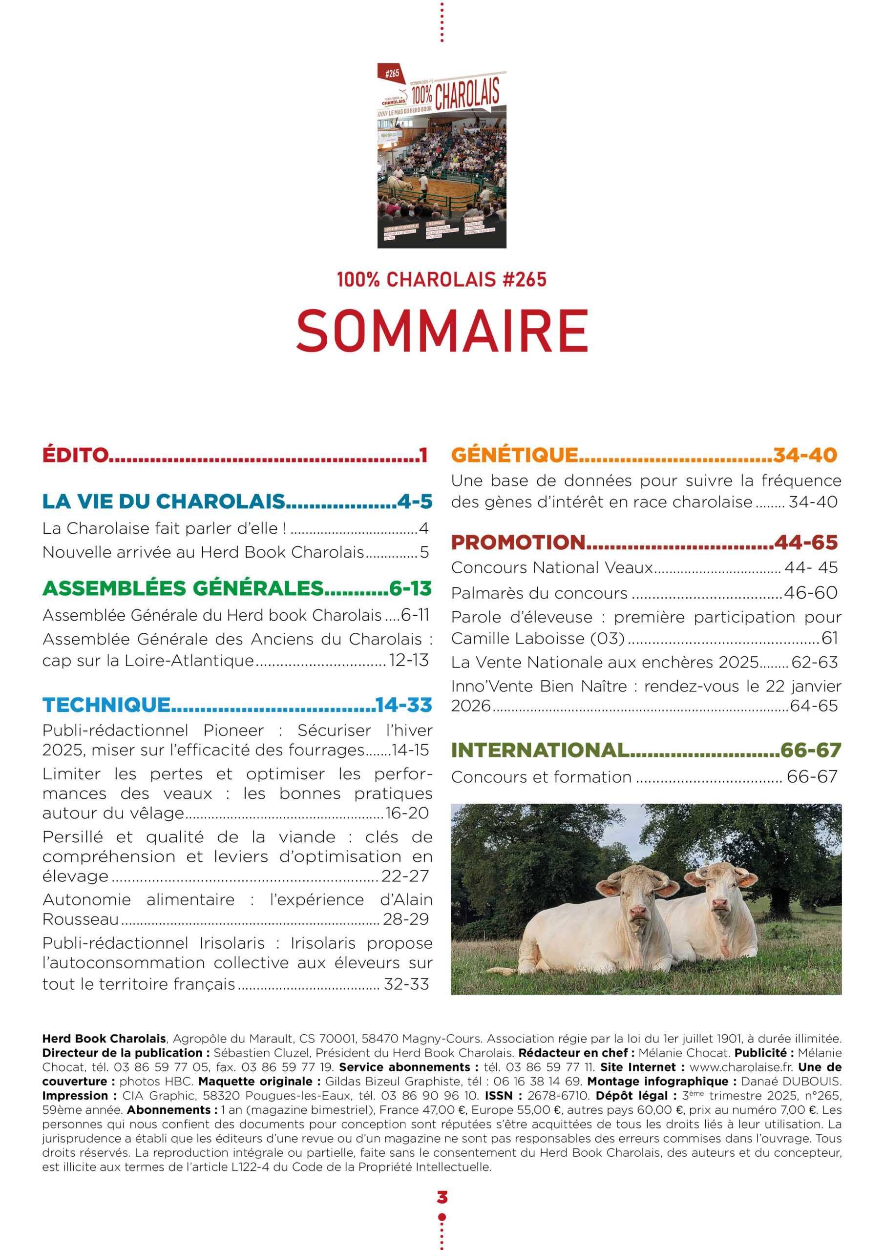 Revue 265 – Image 2