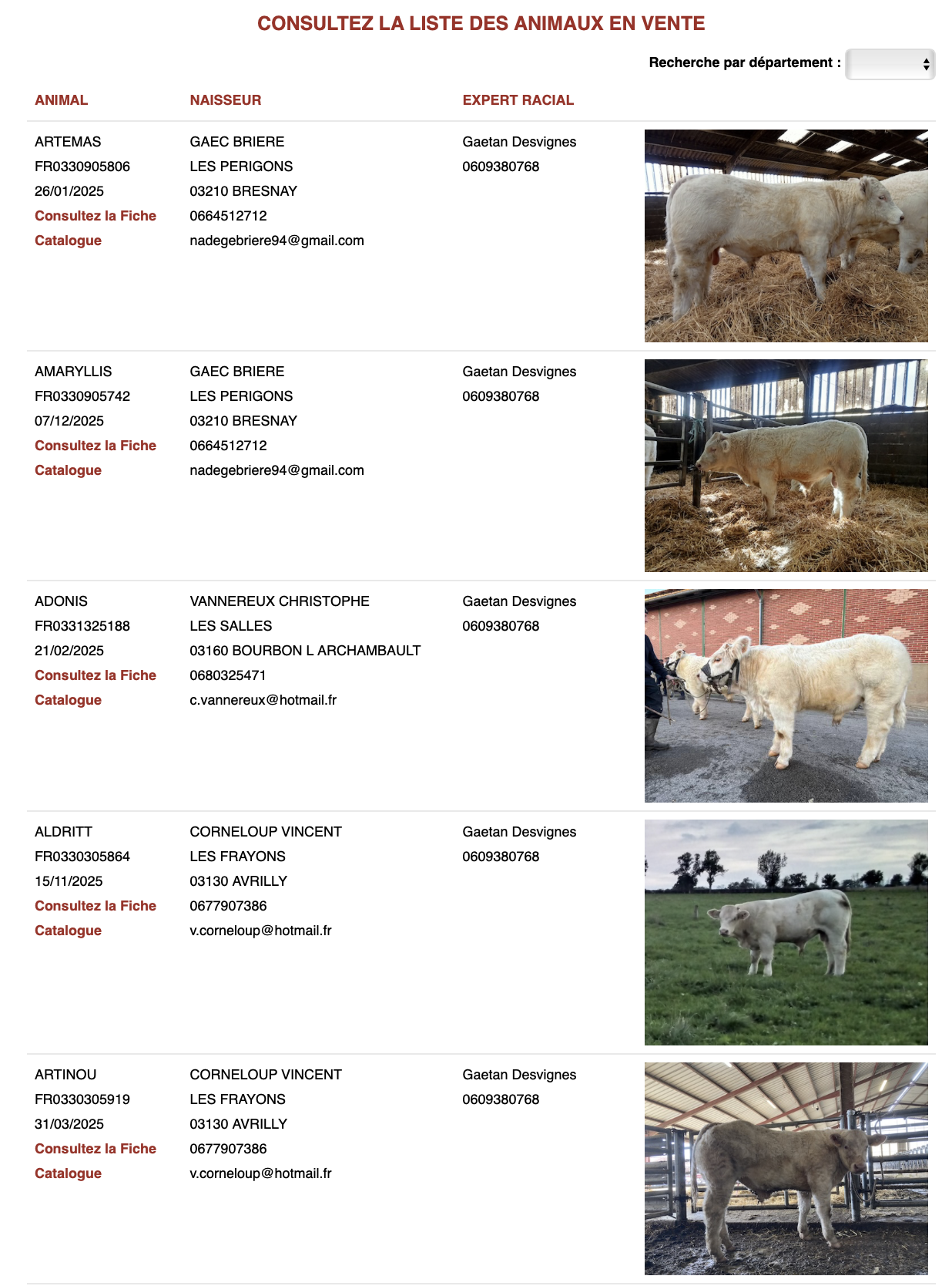 Lire la suite à propos de l’article ANIMAUX REPRODUCTEURS À VENDRE : CONSULTEZ L’OFFRE EN LIGNE