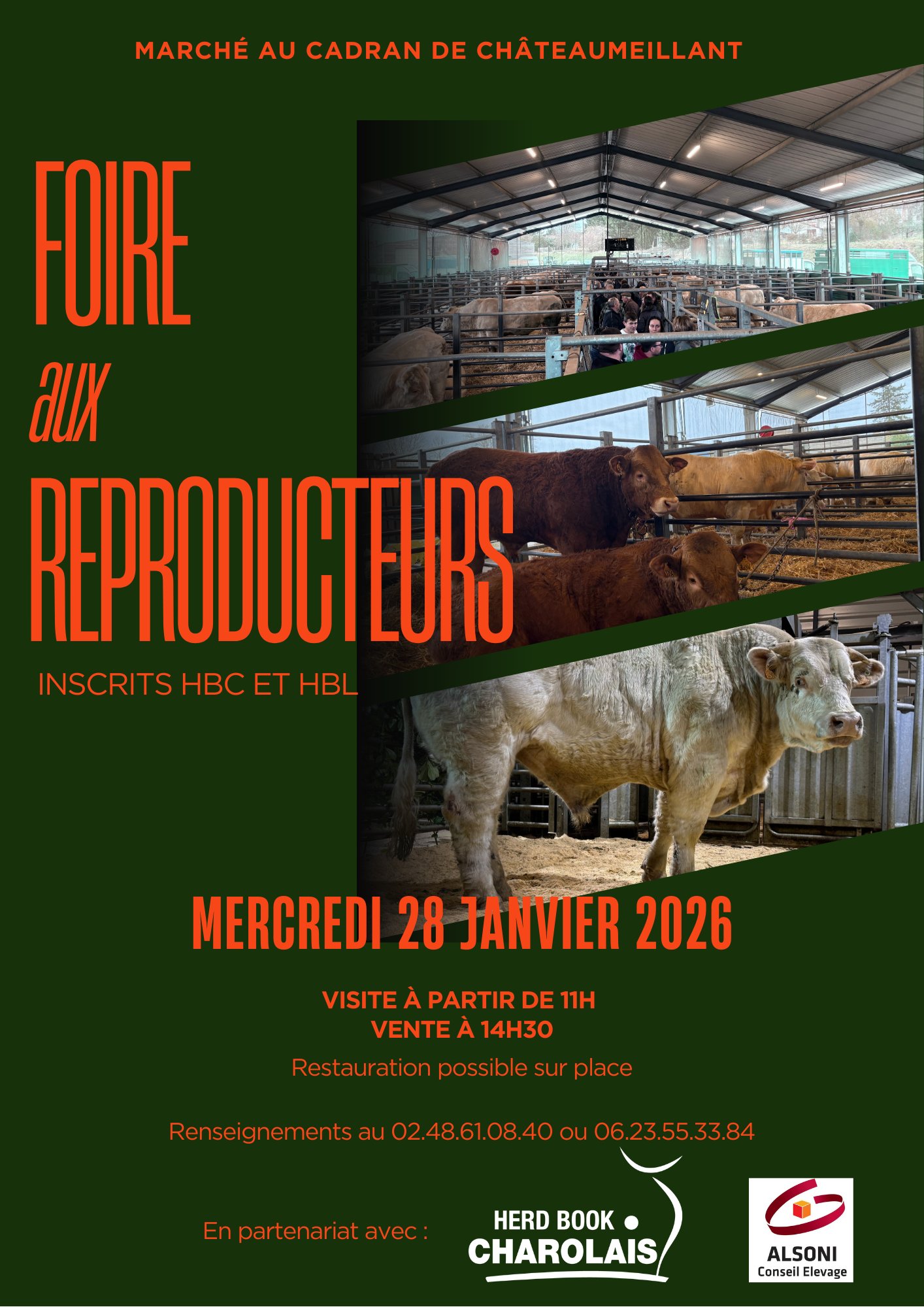 Lire la suite à propos de l’article MOIS DU REPRODUCTEUR SUR LES MARCHÉS – VENTE CHÂTEAUMEILLANT LE 28/01