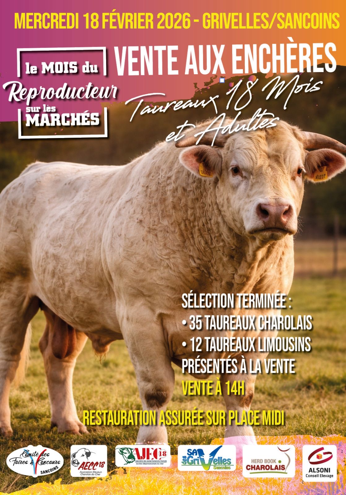 Lire la suite à propos de l’article MOIS DU REPRODUCTEUR SUR LES MARCHÉS – VENTE SANCOINS LE 18/02