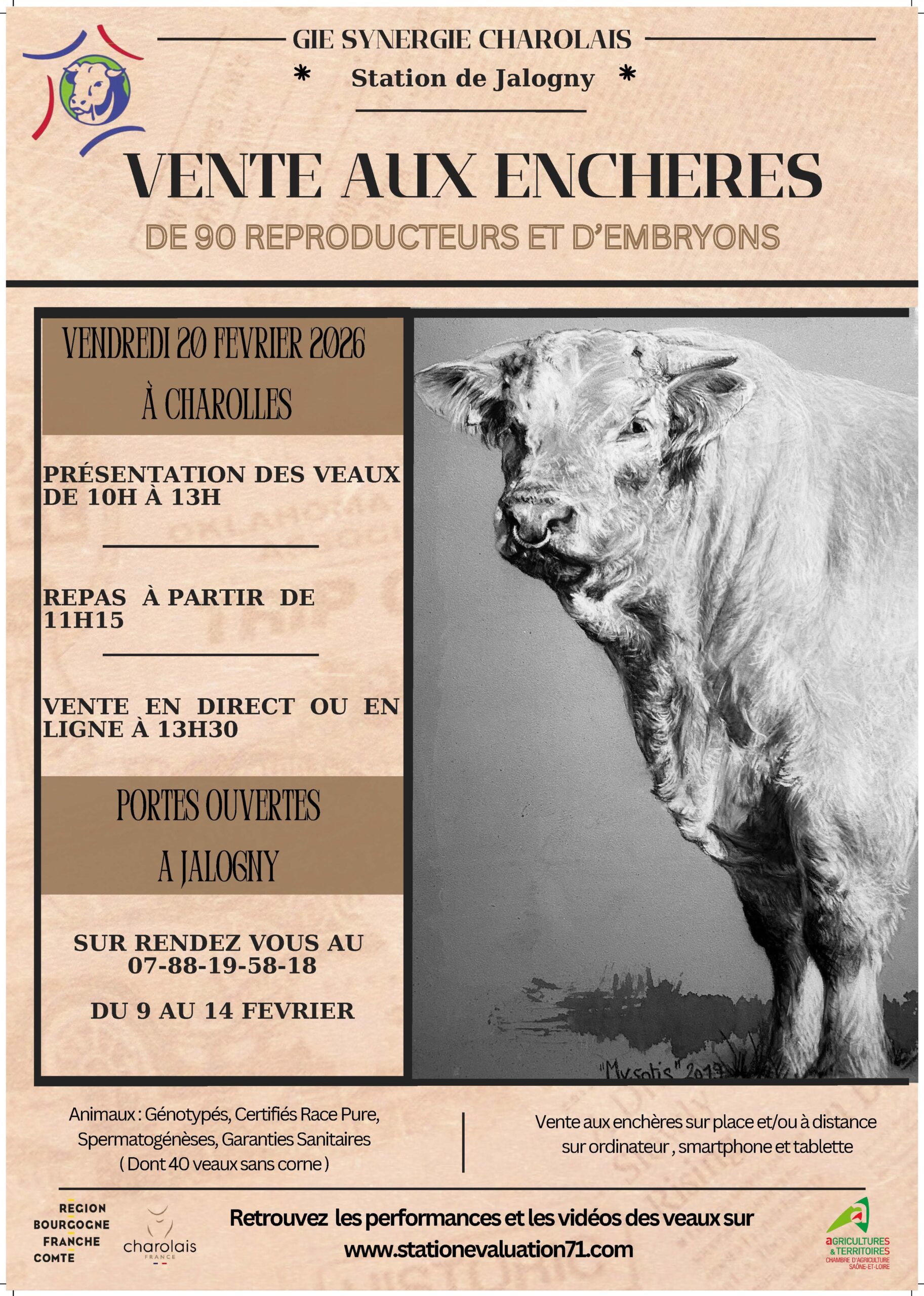 Lire la suite à propos de l’article 80 REPRODUCTEURS CHAROLAIS EN VENTE AUX ENCHÈRES LE 20 FÉVRIER 2026 À CHAROLLES