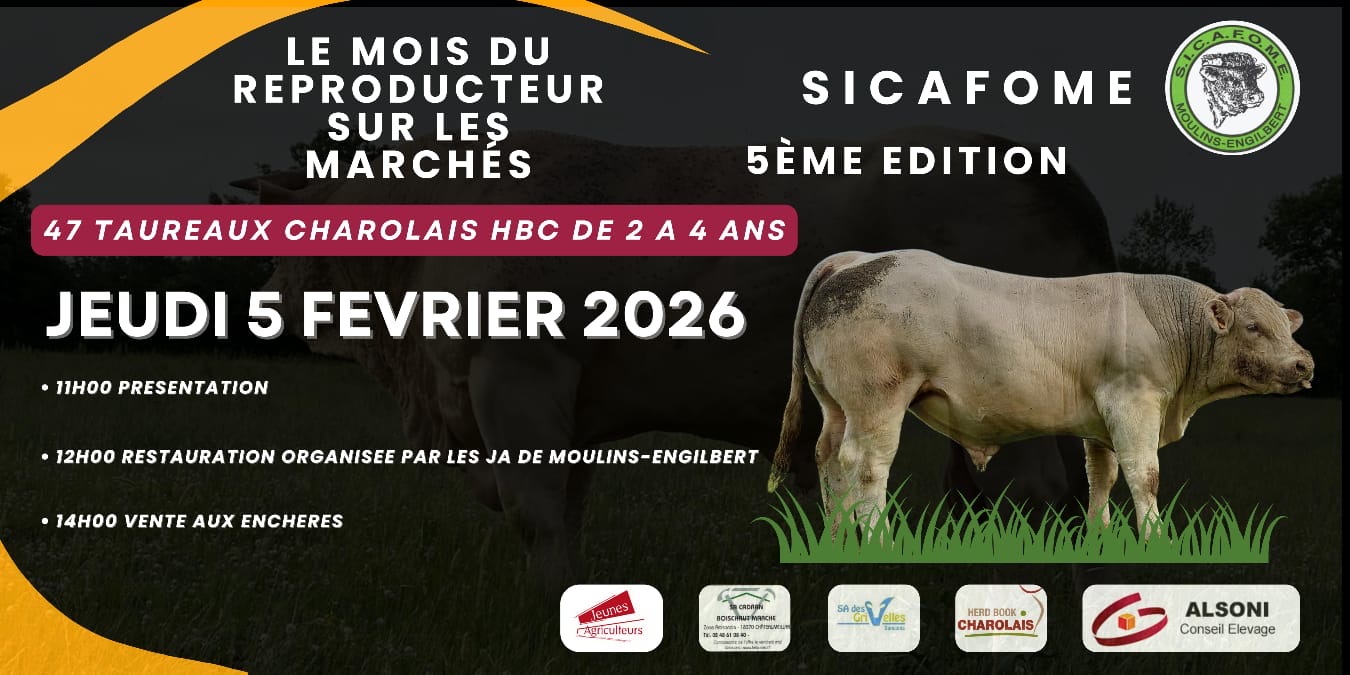 Lire la suite à propos de l’article MOIS DU REPRODUCTEUR SUR LES MARCHÉS – COMMUNICATION SICAFOME – VENTE LE 05/02