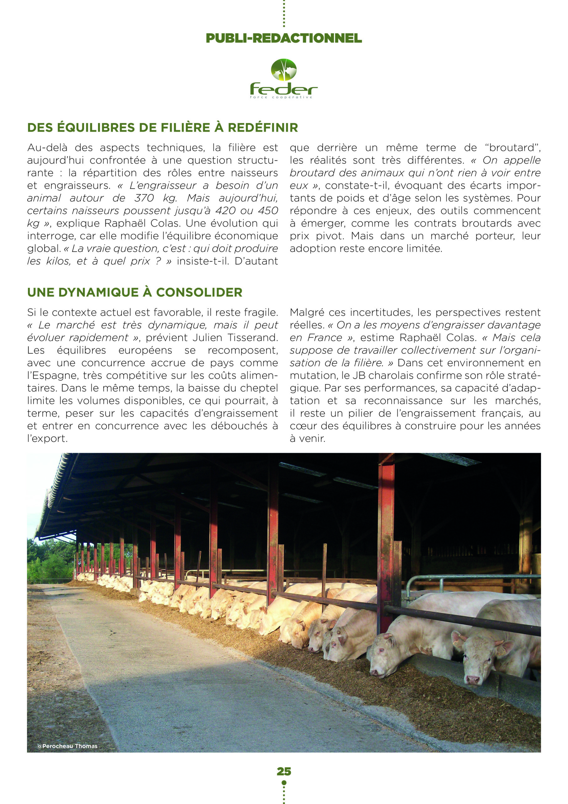 Feder2