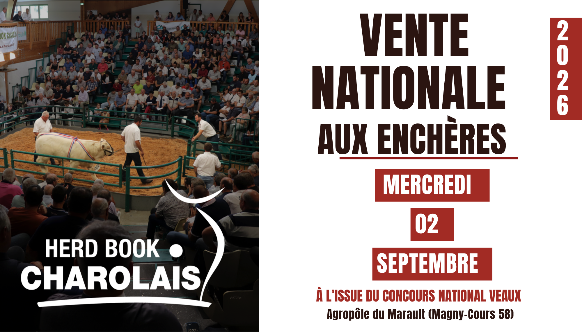 Lire la suite à propos de l’article VENTE NATIONALE 2026 : DÉCOUVREZ LA LISTE DES ANIMAUX SELECTIONNÉS PAR ORDRE DE PASSAGE