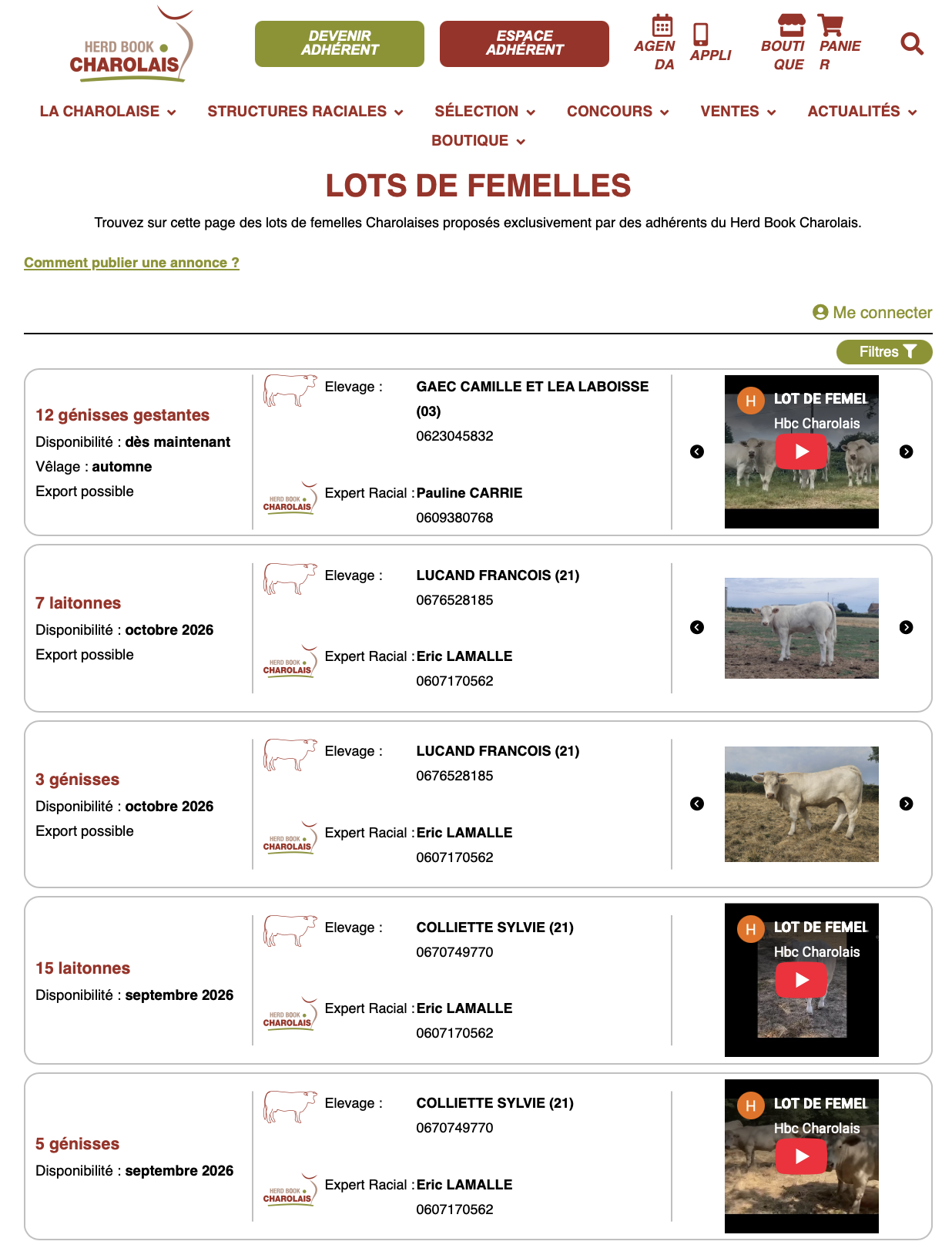 Lire la suite à propos de l’article LOTS DE FEMELLES CHAROLAISES INSCRITES : LA NOUVELLE PLATEFORME EST EN LIGNE !